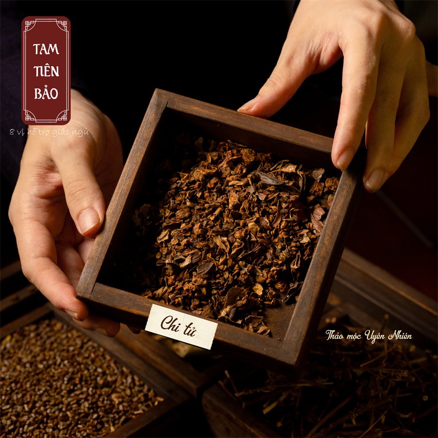 Chi tử — thanh nhiệt, trừ phiền